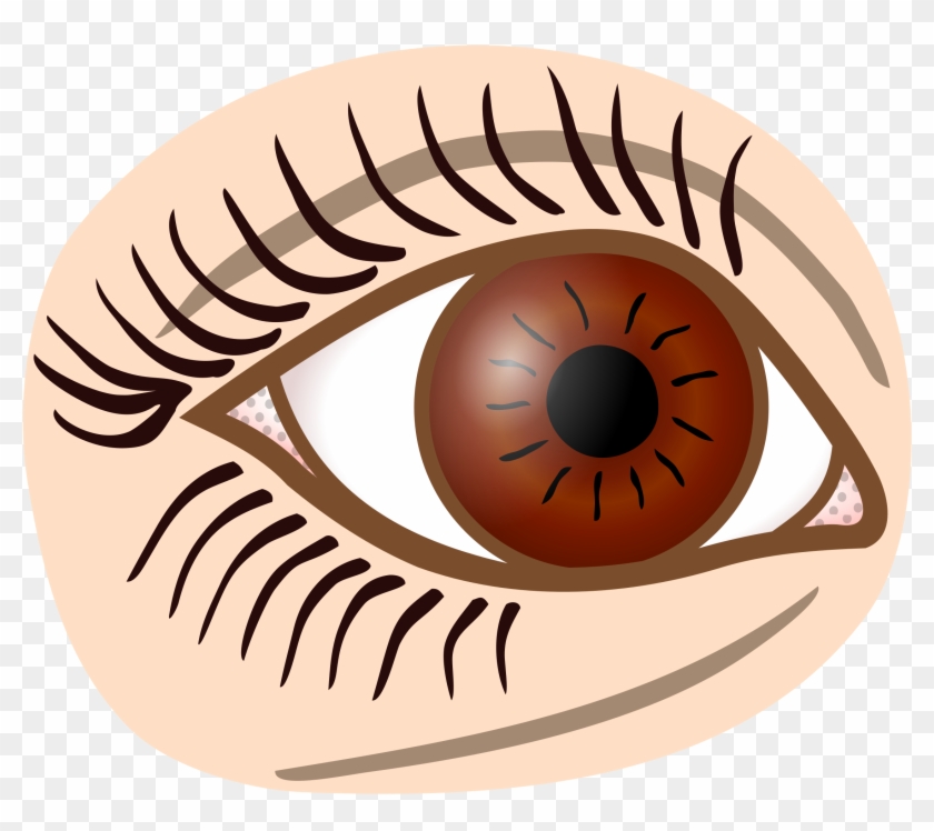 Big Image - De Olhos Castanhos De Desenho #427501