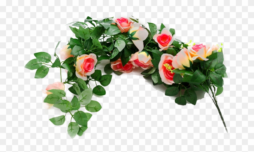 Garden Roses Flower - Garden Roses Flower #427972