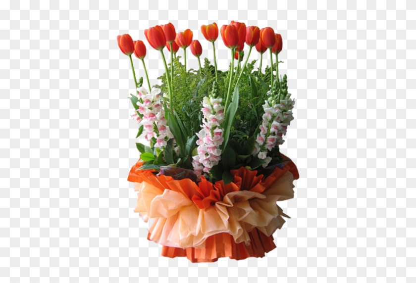 Garden Roses Tulip Flower Bouquet - Garden Roses Tulip Flower Bouquet #428746