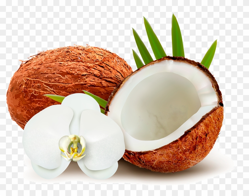 Coconut Water Coconut Milk Clip Art - Coconut Water Coconut Milk Clip Art #428902