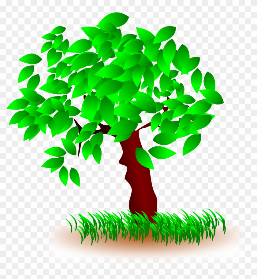 Tree Arbol Icons Png - Tree Arbol Icons Png #428911