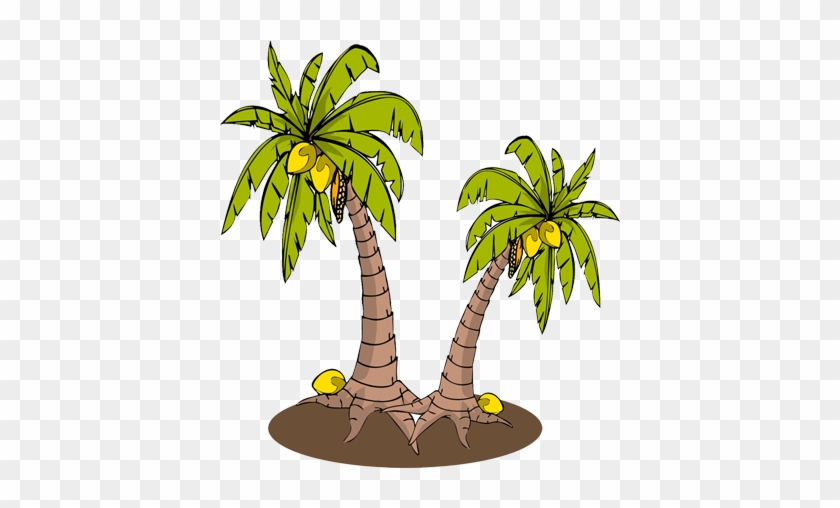 Click Each Magnified Image To Learn About These Coconut - Illustration #428994