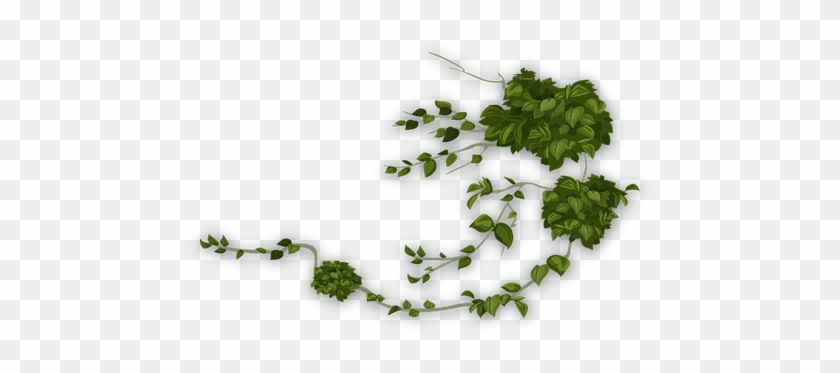83 Free Vector Graphics Of Greenery - Assassin Vines #429150