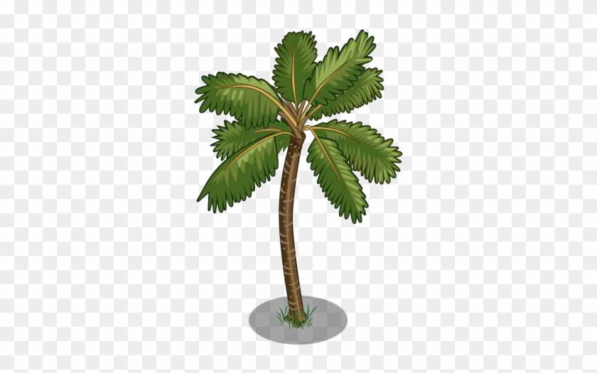 Golden Malayan Coconut Tree1-icon - Golden Malayan Coconut Tree1-icon #429268