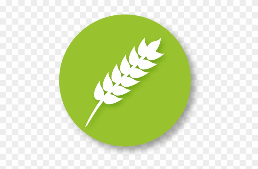 Food Icon - Gluten Symbol #429251