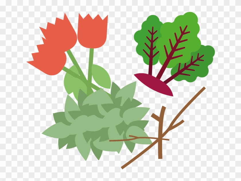 Garden Waste - Greater Manchester #429492