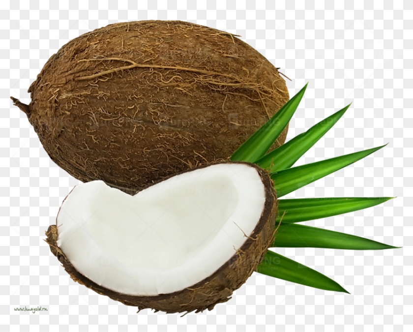 Fragrancebuddy Coconut Lime Verbena Type Soap / Candle #430125