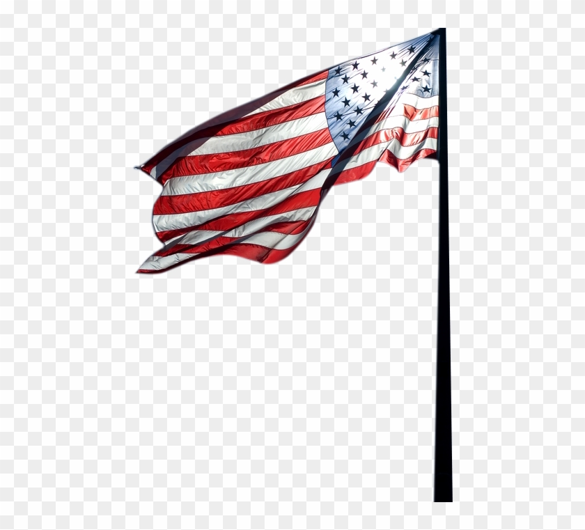 Flag - Changing The Face Of Our Nation [book] #430813