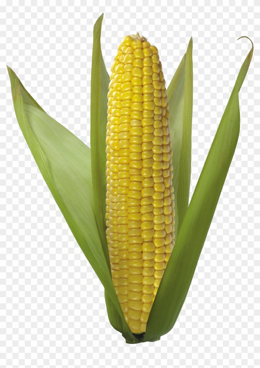 Corn Clipart Transparent - Annoying Orange Wazzup Blow Up #430822