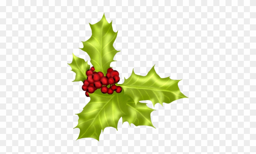 Holly - Christmas Day #431529