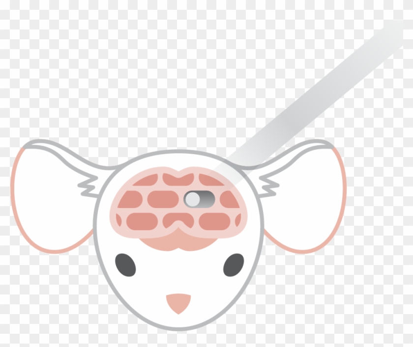 Optogenetics Infographic - Optogenetics Infographic #431717