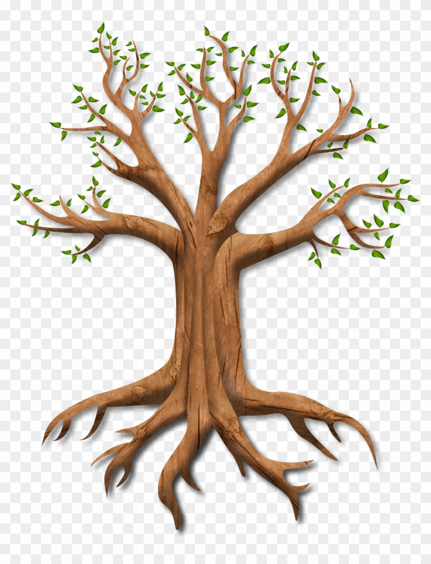 Tree - Tree #432989