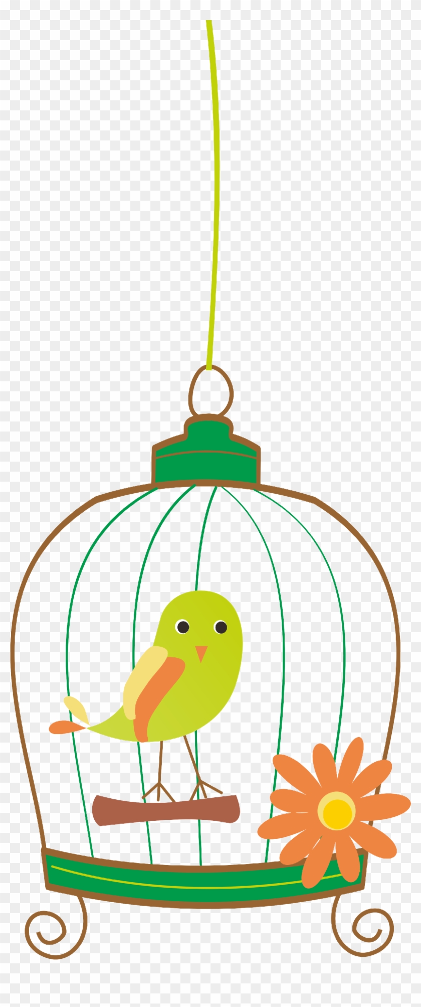 Birdcage4 - Birdcage4 #433694