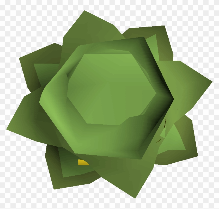 Cabbage Round Shield Detail - Old Cabbage Runescape #433783
