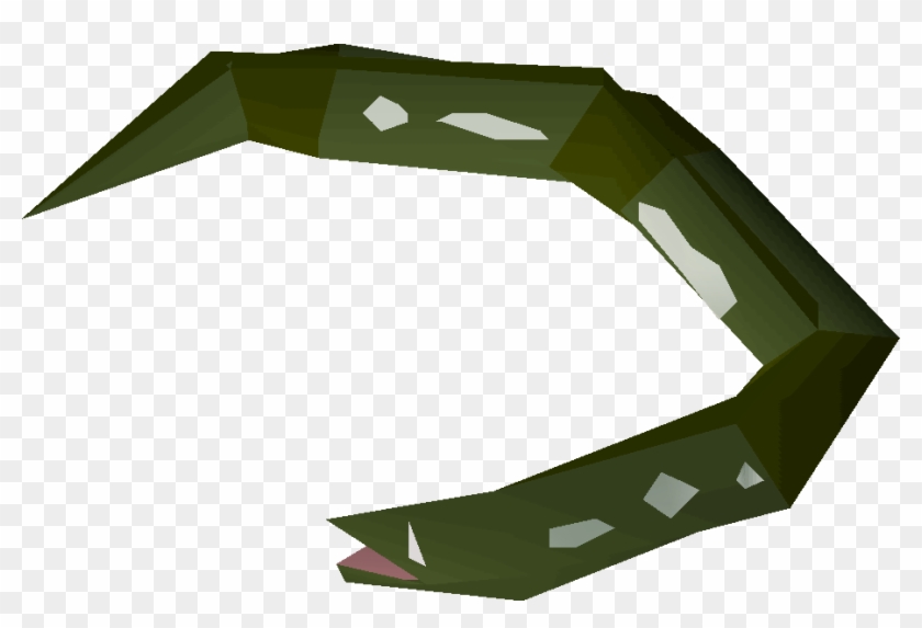 Raw Slimy Eel Detail - Old School Runescape #433911