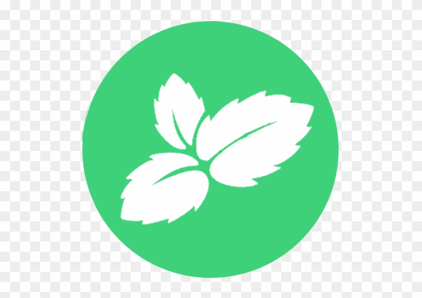 Mint - Mint.com #433940