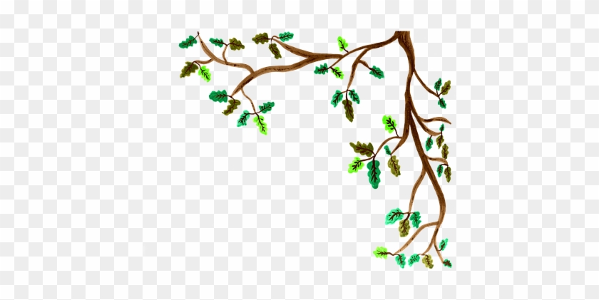 Oak, Branch, Watercolor, Isolated - Tree Branches Painted Png #434014