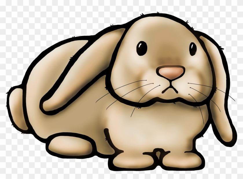 Rabbit Clipart Teacher - Cartoon #434318