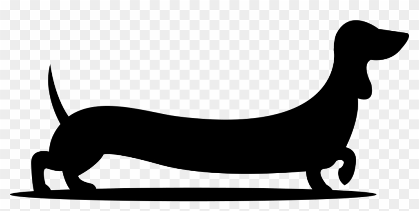 Dog With Long Body Comments - Dog With Long Body #434357