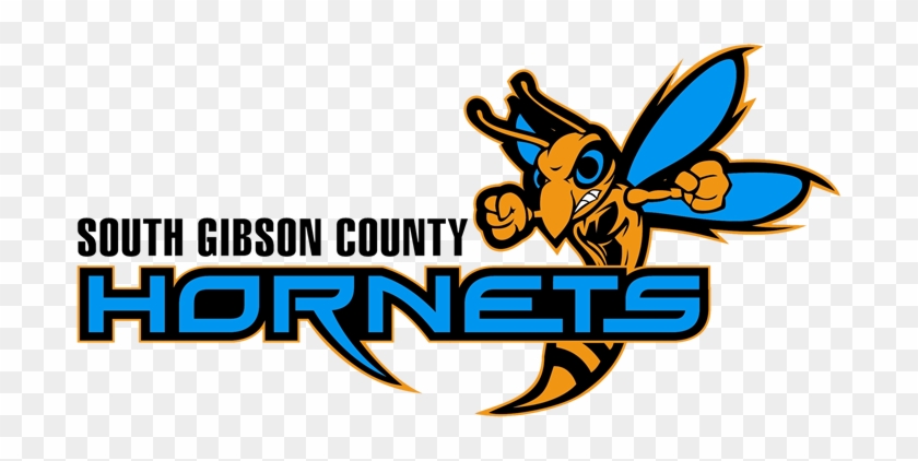 Coed Varsity Clubs Shooting Sports - Medina Hornets #435535