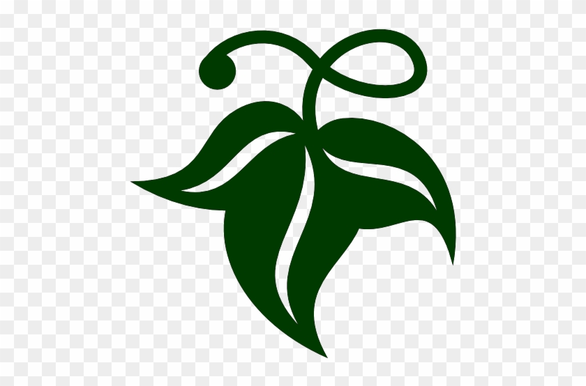 Herbs - Transparent Herb #435747