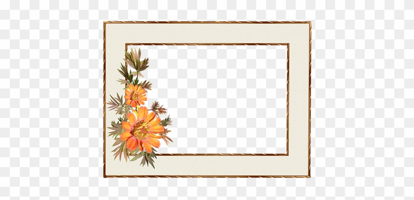 Gold Frame Border Design - Frame #436143