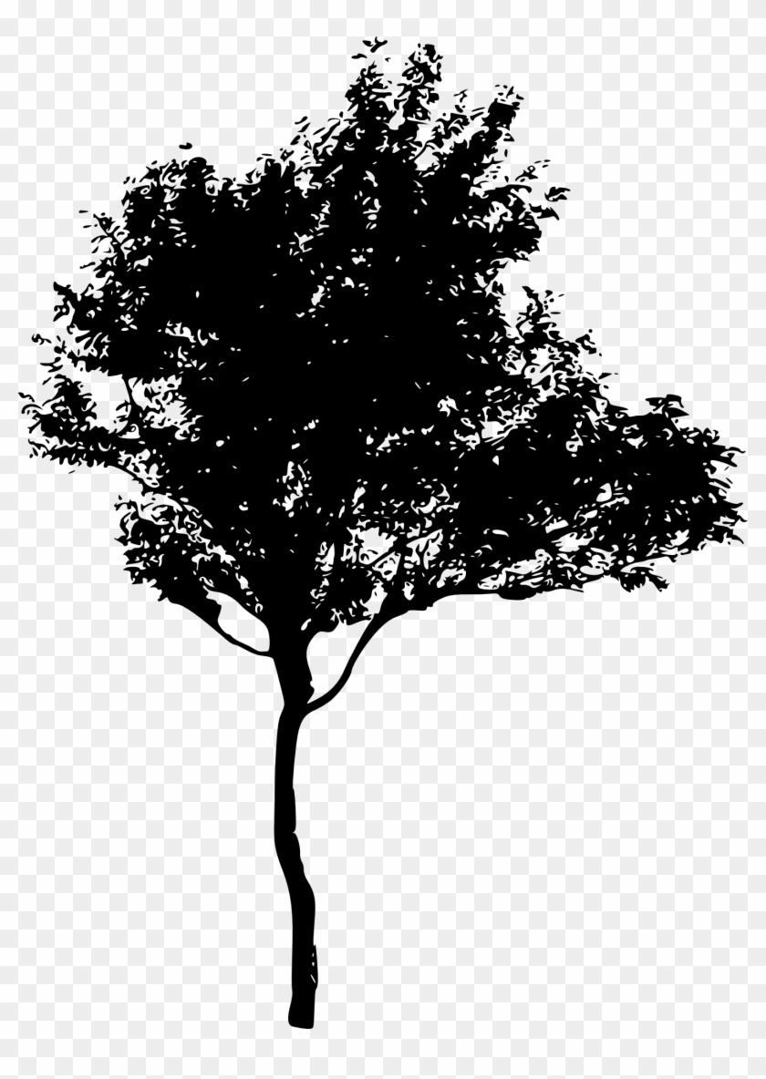 45 Tree Silhouettes Png Transparent Background Onlygfx - Tree Silhouette Png #436323