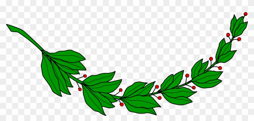 Laurel Branch 5 - El Salvador Clip Art #436713