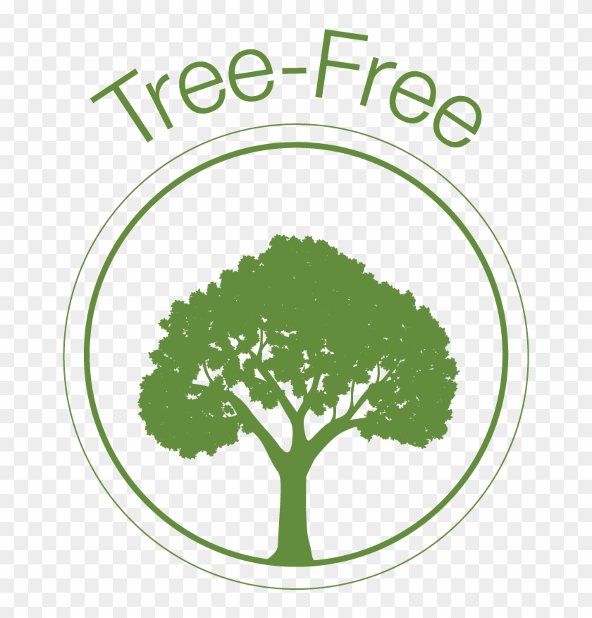 Shop Tree-free - Stock.xchng #437619
