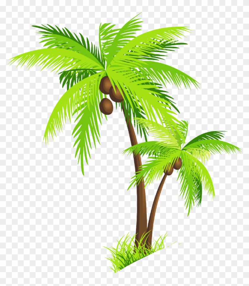 Coconut Tree Clip Art - Coconut Tree Clipart Png #437634