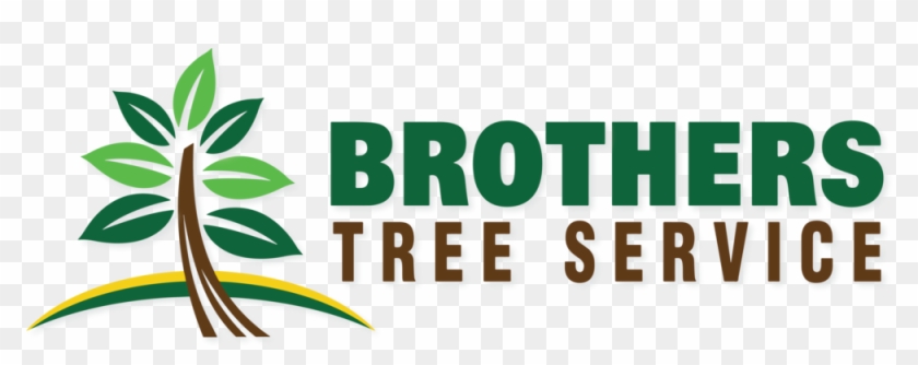   Tree #437797