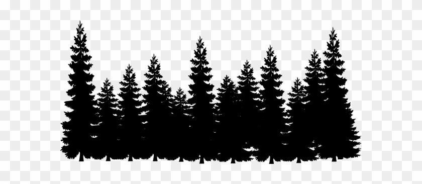 Shadows Clipart Pine Tree - Pine Trees Clipart Black And White #437904