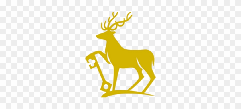 University Of Surrey Water Polo Scholarships - University Of Surrey Logo #438027