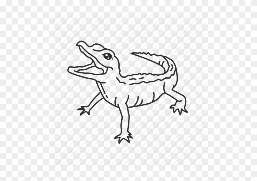 Drawn Alligator Reptile - Baby Alligator Drawing #438146