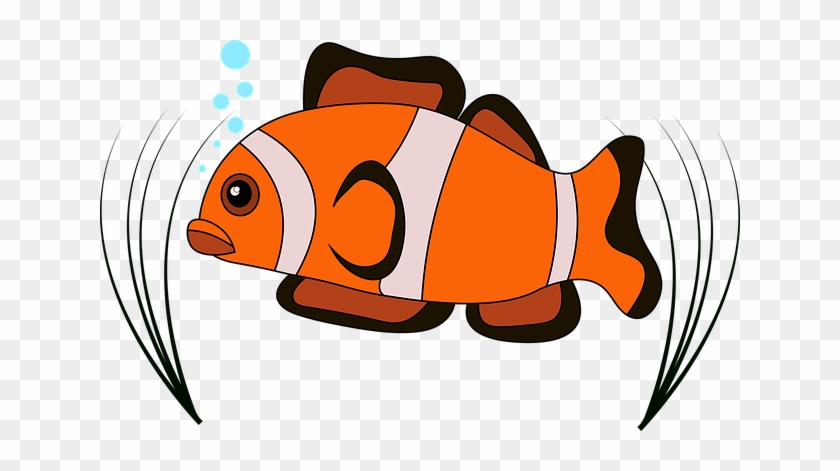 Ikan Vektor Png #438335