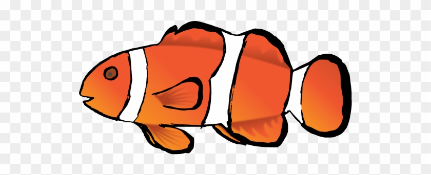 After Embedding The Trace I Removed The Background - Coral Reef Fish #438370