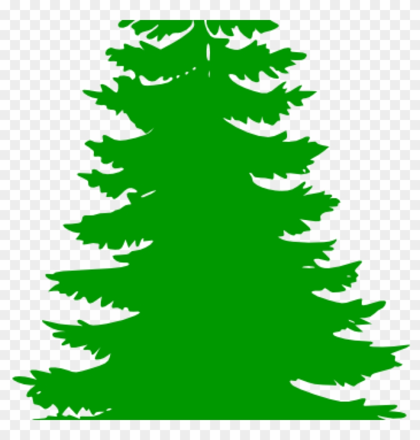 Pine Tree Clip Art Pine Tree Clip Art At Clker Vector - Pine Tree Clip Art #438605