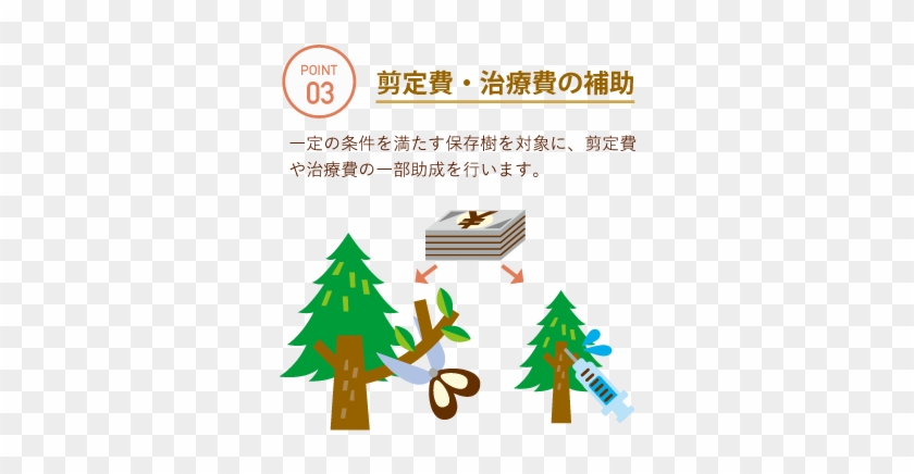 資料：国土交通省「都市緑化データベース」 - Christmas Tree #439609
