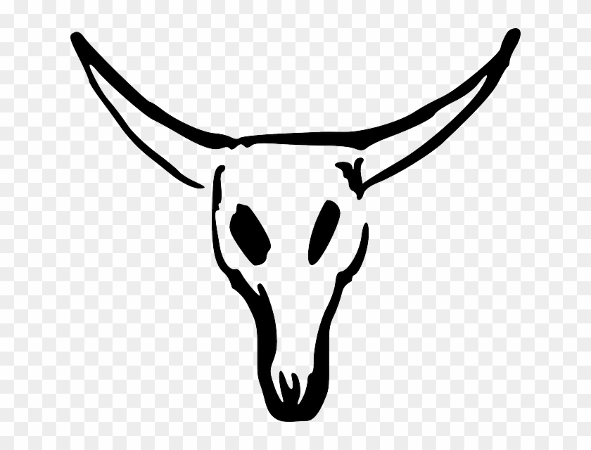 Skull, Cartoon, Cow, Cattle, Mammals, Bull - Craneo De Vaca Dibujo #439739