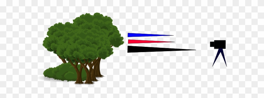 Visible Light น้อยกว่าที่ควรจะเป็น - Tree #439950