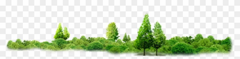 À¸œà¸¥à¸ À¸²à¸£à¸„à¹ - À #439977