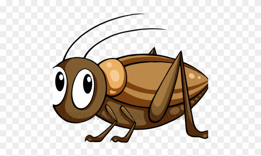 Mantisplace - Cricket Brown Insect Clipart #439987
