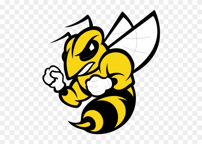 Randolph-macon Mens Soccer Data - Randolph Macon Yellow Jackets #440287