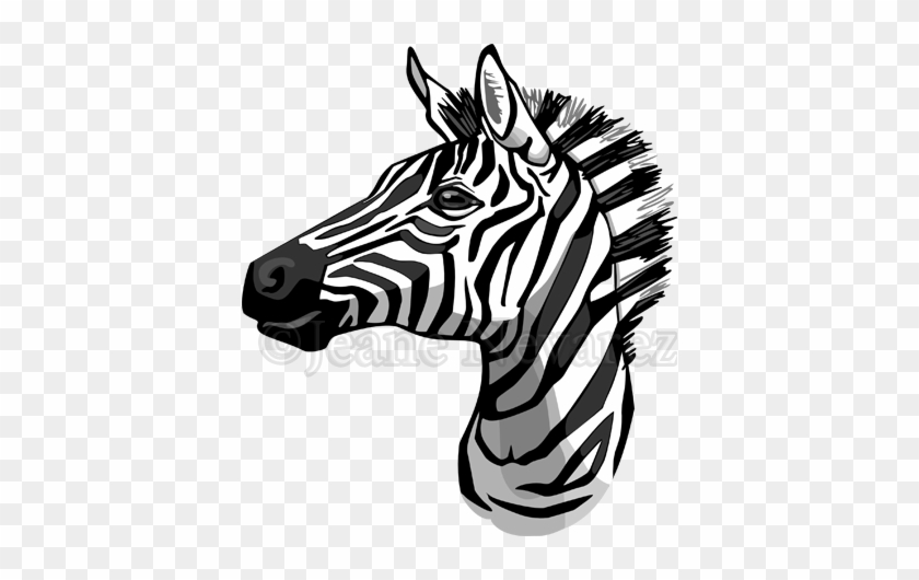 Zebra Face Clip Art - Drawing Of A Zebra Head #441685