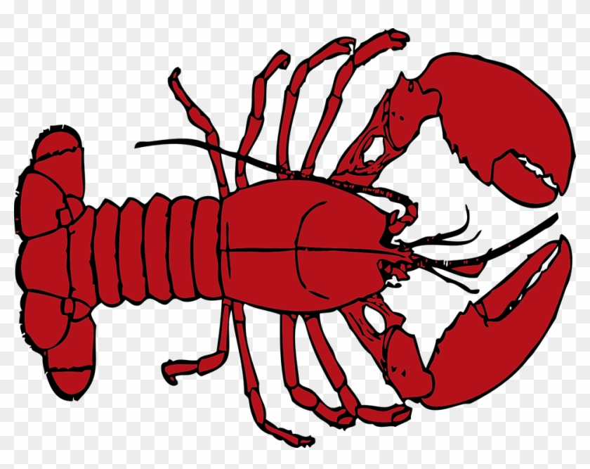 Crawfish Clip Art 4, - Crawfish Clip Art #446437