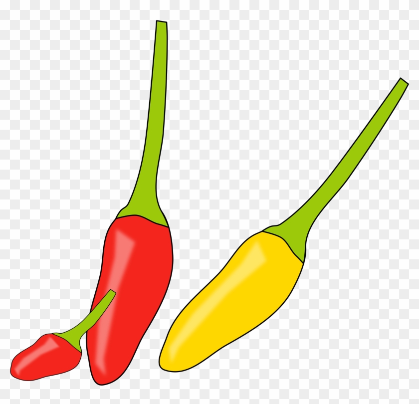 Png - Png #446489