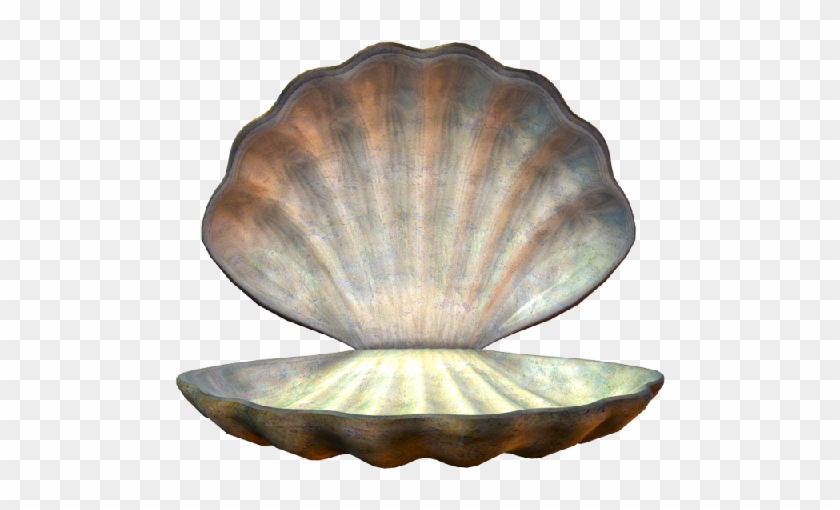 Clam #446704