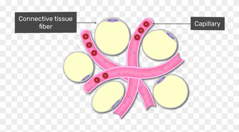 Circle #447361