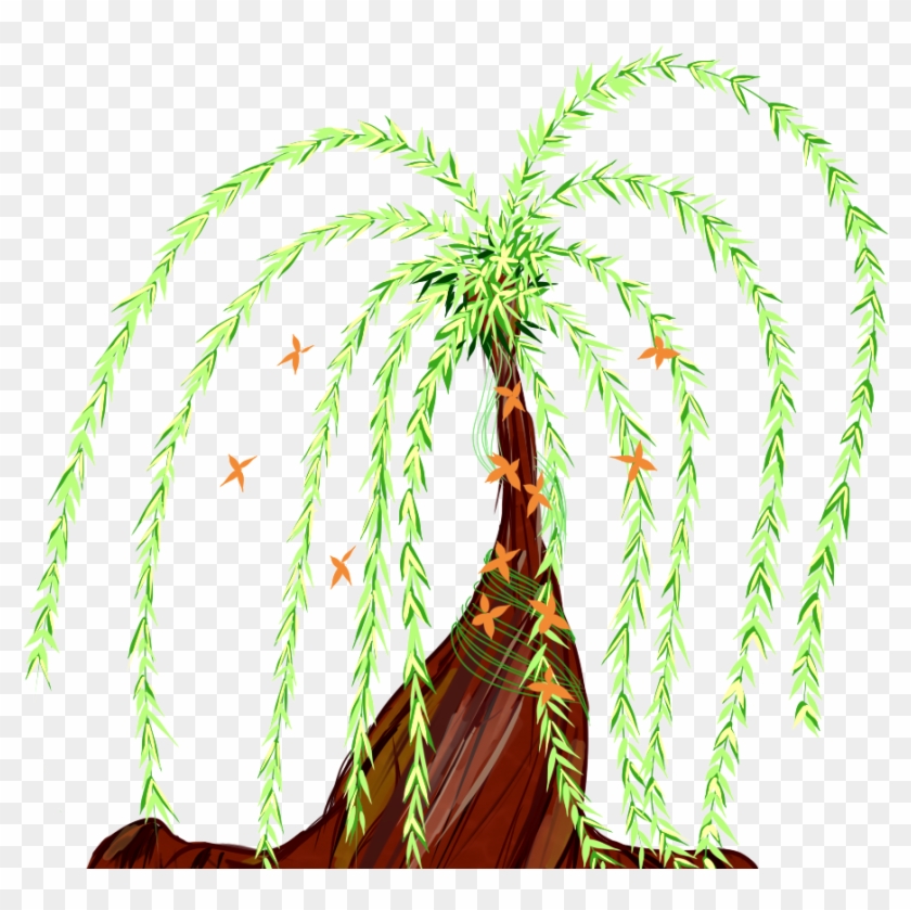 Weeping Willow Practice By Doodleknots Weeping Willow - Attalea Speciosa #447877