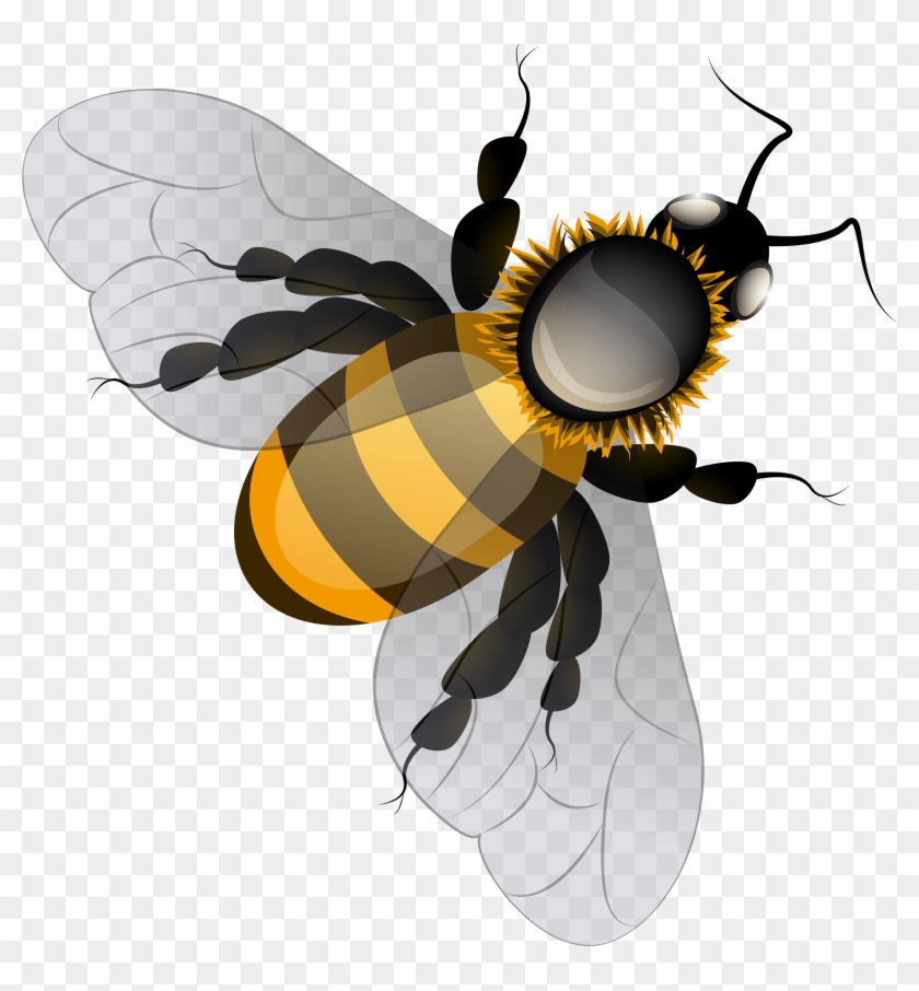 Bee Png Clip Art - Bee Png Clipart #448083